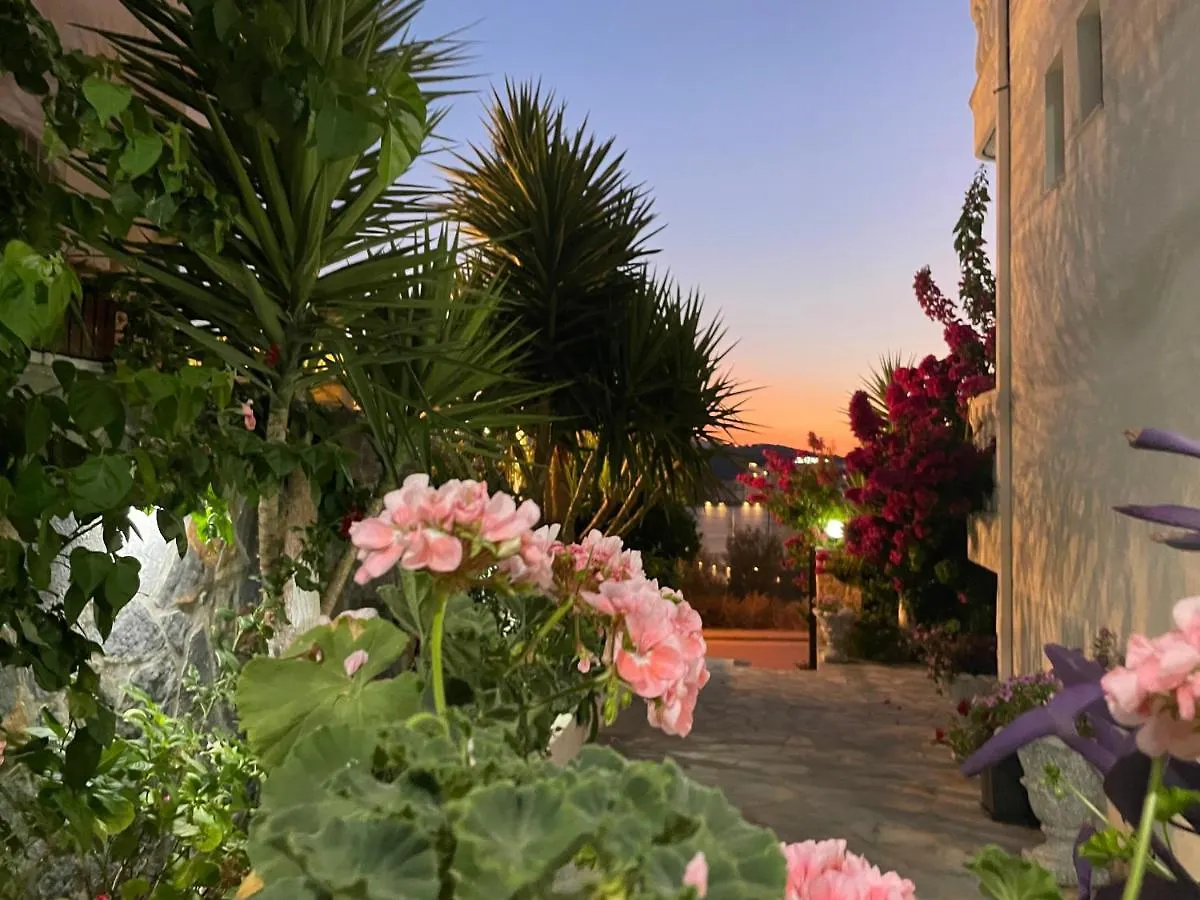 Summer Dreams Εξαμίλιο